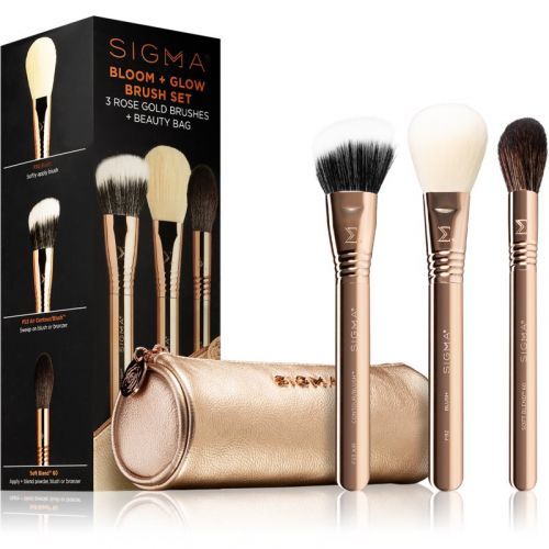 Sigma Beauty Bloom + Glow Brush Set Make-up Brush Set with Pouch