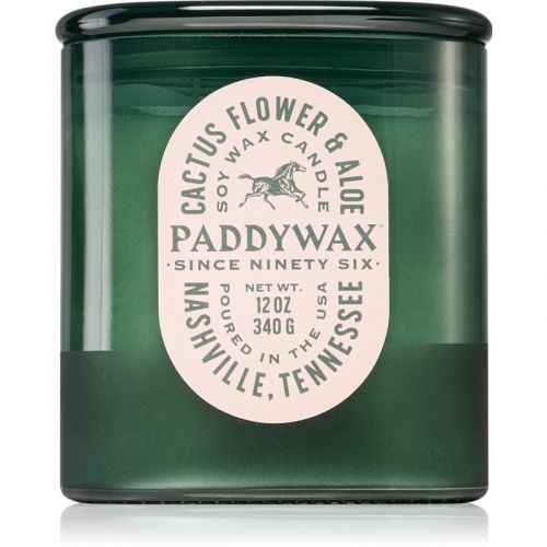 Paddywax Vista Cactus Flower & Aloe scented candle 340 g