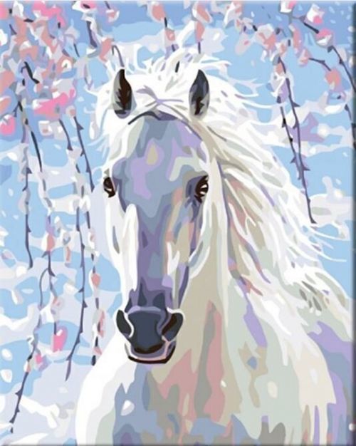 Zuty Painting by numbers White Horse