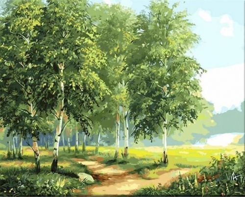 Zuty Painting by numbers Birches By The Road II