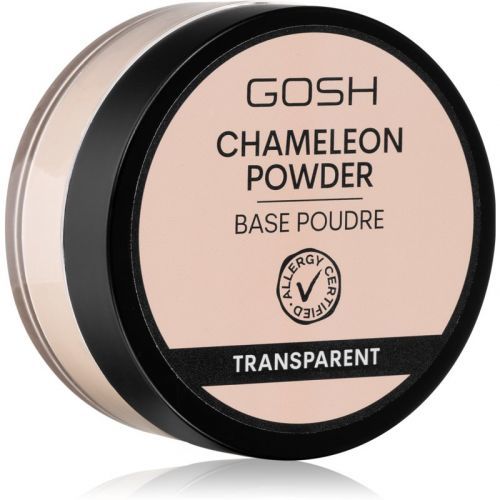 Gosh Chameleon Translucent Loose Powder with Matte Effect Shade Transparent 8 g